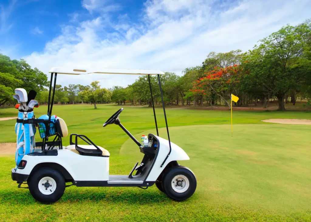 Comparison with Traditional Golf Carts